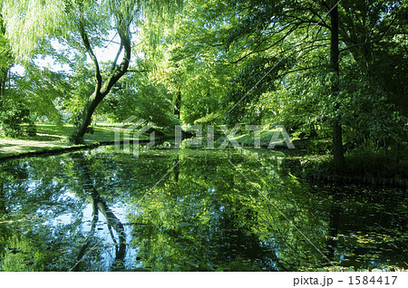緑の公園 1584417