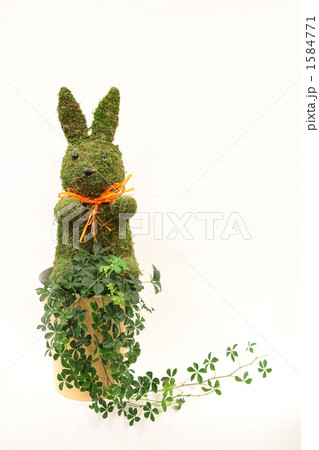 アニマルトピアリー アニマルトピアリー 1584771