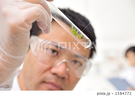 1584772