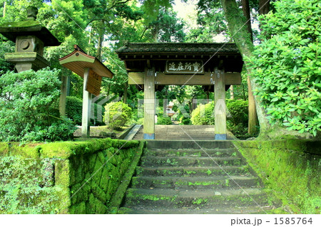 浄智寺総門をくぐって 浄智寺総門をくぐって 1585764