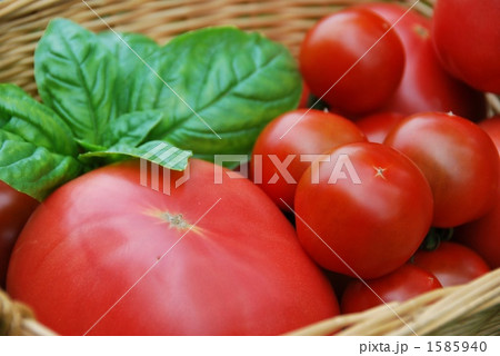 トマトとバジル 1585940