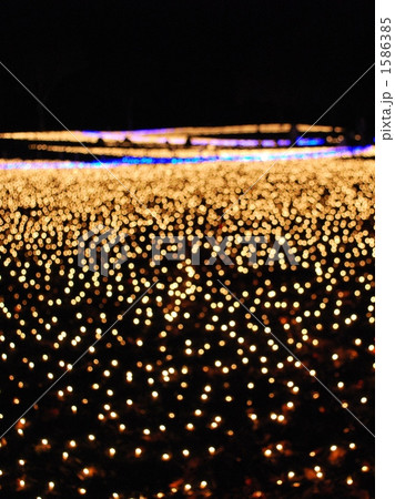 幻想的なイルミネーション 1586385