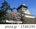 桜小倉城 1586396