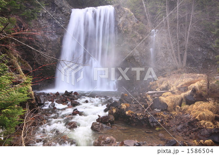 早春の善五郎の滝 早春の善五郎の滝 1586504