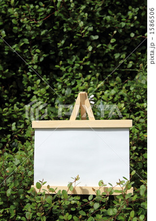 写真たて フォトフレーム ワイヤープランツ ④ 写真たて フォトフレーム ワイヤープランツ ④ 1586506