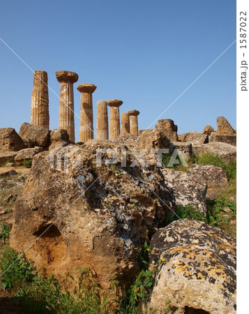 アグリジェント アグリジェント 1587022