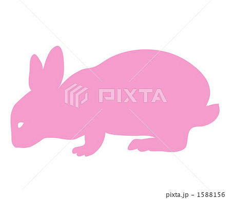 うさぎの仕草のイラスト素材