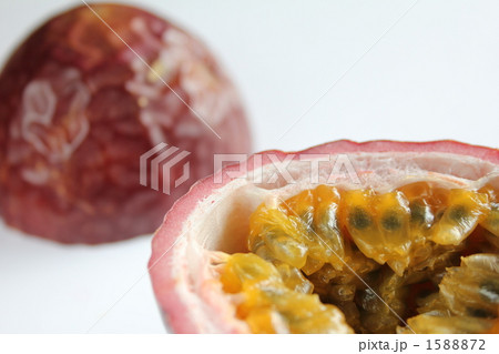 パッションフルーツ パッションフルーツ 1588872