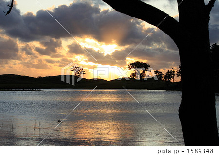 世界遺産 知床 世界遺産 知床 1589348