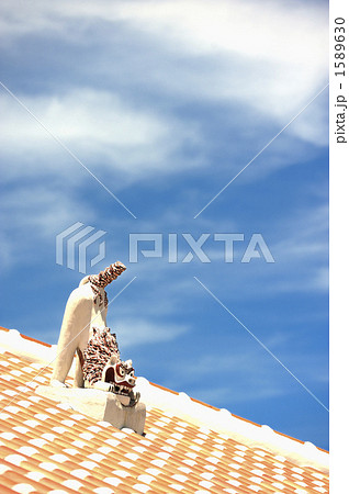 竹富島/シーサー 1589630