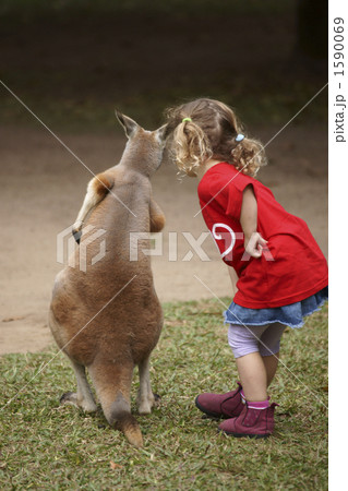 カンガルーと少女 1590069