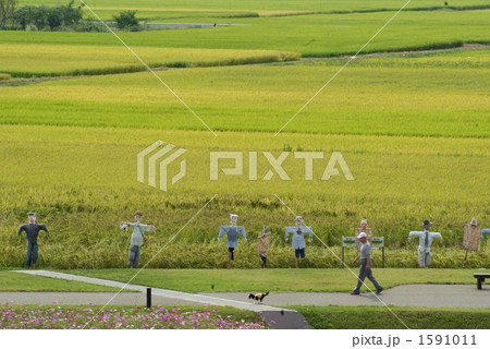 秋の田園風景 1591011