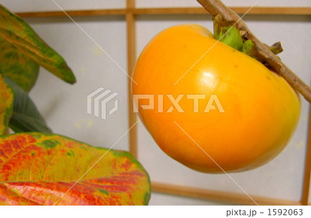 1592063