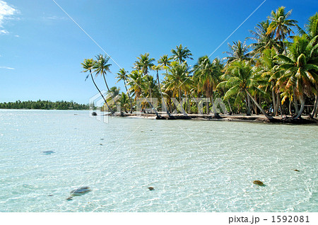 タヒチの絶景 透明度が綺麗なスカイブルーの海と小島  タヒチの絶景 透明度が綺麗なスカイブルーの海と小島  1592081