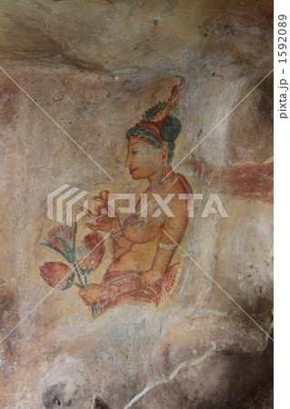 シーギリヤ・レディ 1592089