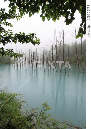 ブルーリバー ブルーリバー 1592273