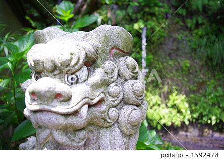 狛犬と小滝 1592478