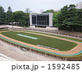 東京競馬場パドック(無人) 東京競馬場パドック(無人) 1592485
