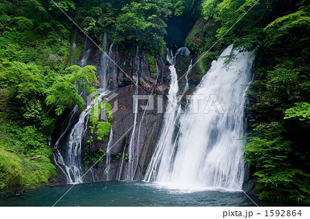 九州の滝 白水の滝 九州の滝 白水の滝 1592864