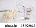 コップ 1592908