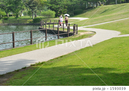 公園の散歩道 公園の散歩道 1593039