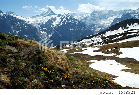 フィルストからの眺め 1593521