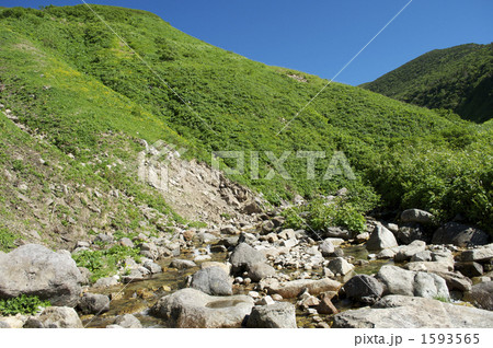 夏の白山 夏の白山 1593565