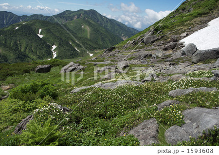 夏の白山 夏の白山 1593608