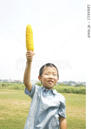 1594885