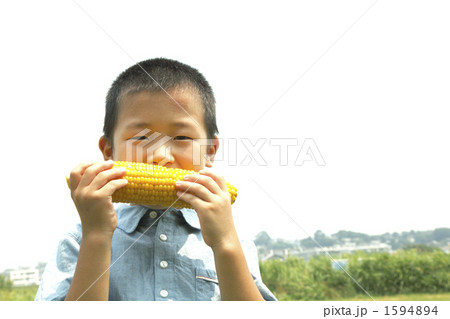 1594894
