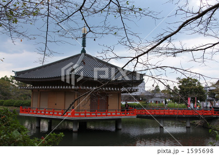 池に浮ぶ美しい姿 1595698