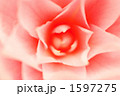 ボタン 1597275