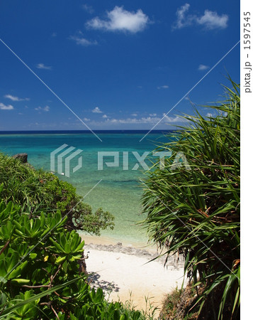 珊瑚礁の海 1597545