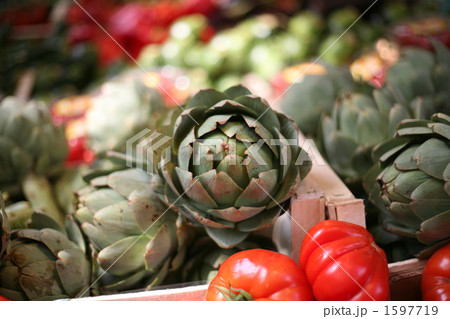 アーティチョーク アーティチョーク 1597719