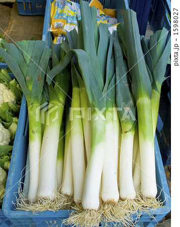 リーキ、　ブルージュの市場にて 1598027