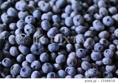 完熟ブルーベリー 1598658