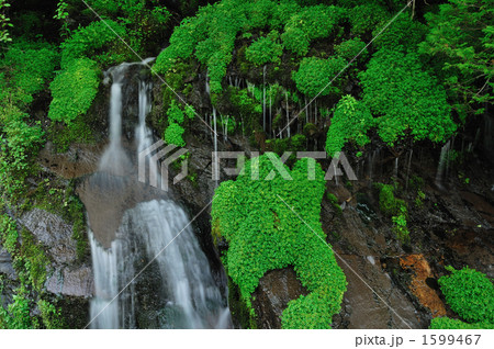 岩清水 岩清水 1599467