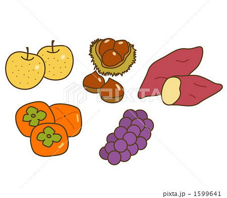 秋の果物のイラスト素材 1599641 Pixta