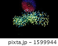 豊田おいでんまつり花火大会 1599944