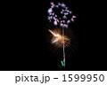 豊田おいでんまつり花火大会 1599950