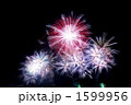 豊田おいでんまつり花火大会 1599956