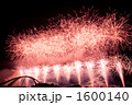 豊田おいでんまつり花火大会 1600140