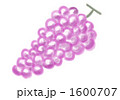 葡萄 1600707