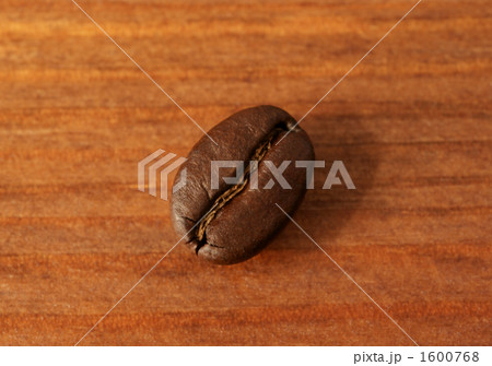 コーヒー豆 1粒 コーヒー豆 1粒 1600768