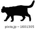 猫の影 1601305