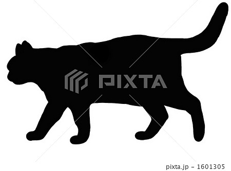 猫の影のイラスト素材 [1601305] - PIXTA