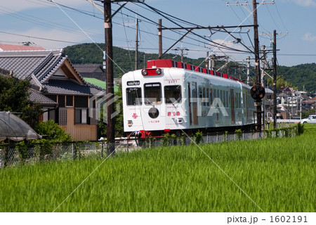 和歌山電鉄　いちご電車 1602191