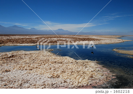 アタカマ塩湖 アタカマ塩湖 1602218