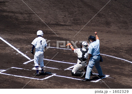 高校野球 バッターアウトの写真素材