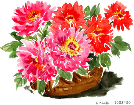 zinnias107pix 1602430